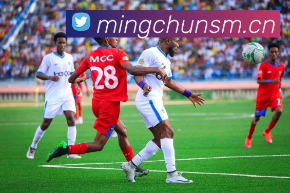 emc易倍官方官网服务体系